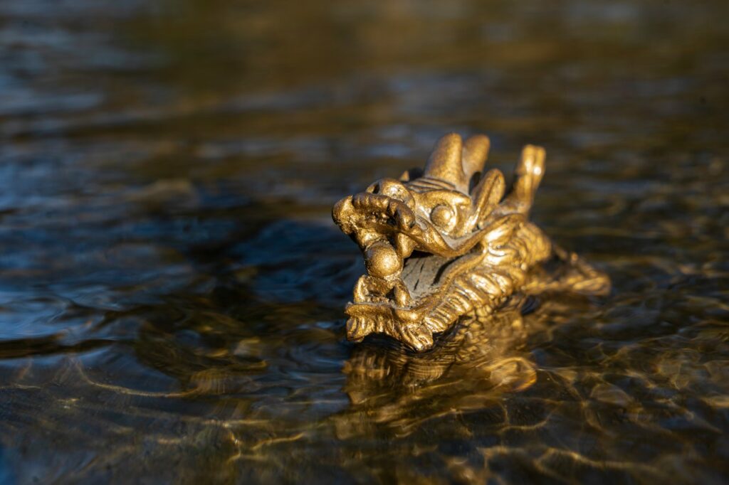 Coastal Dragonfly on Oyster Shell