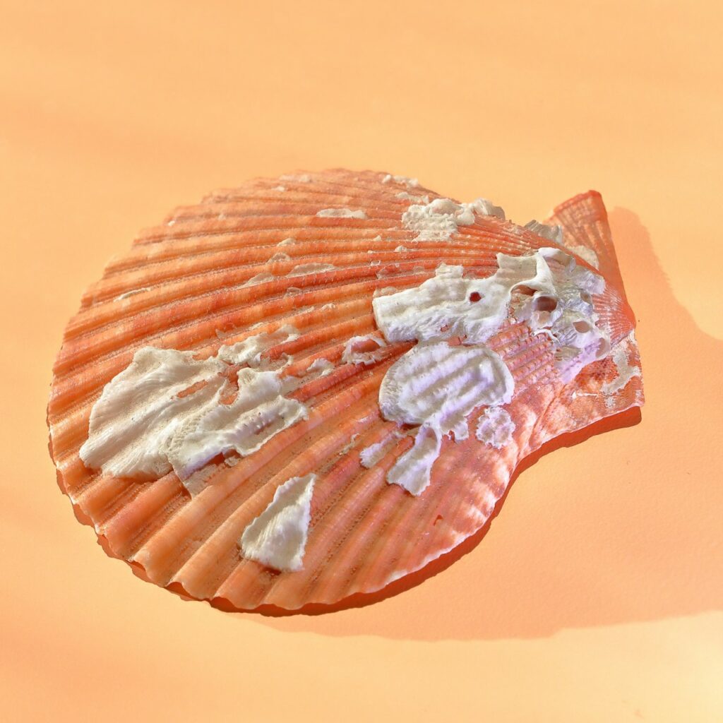 Golden Seahorse Beach Ornament