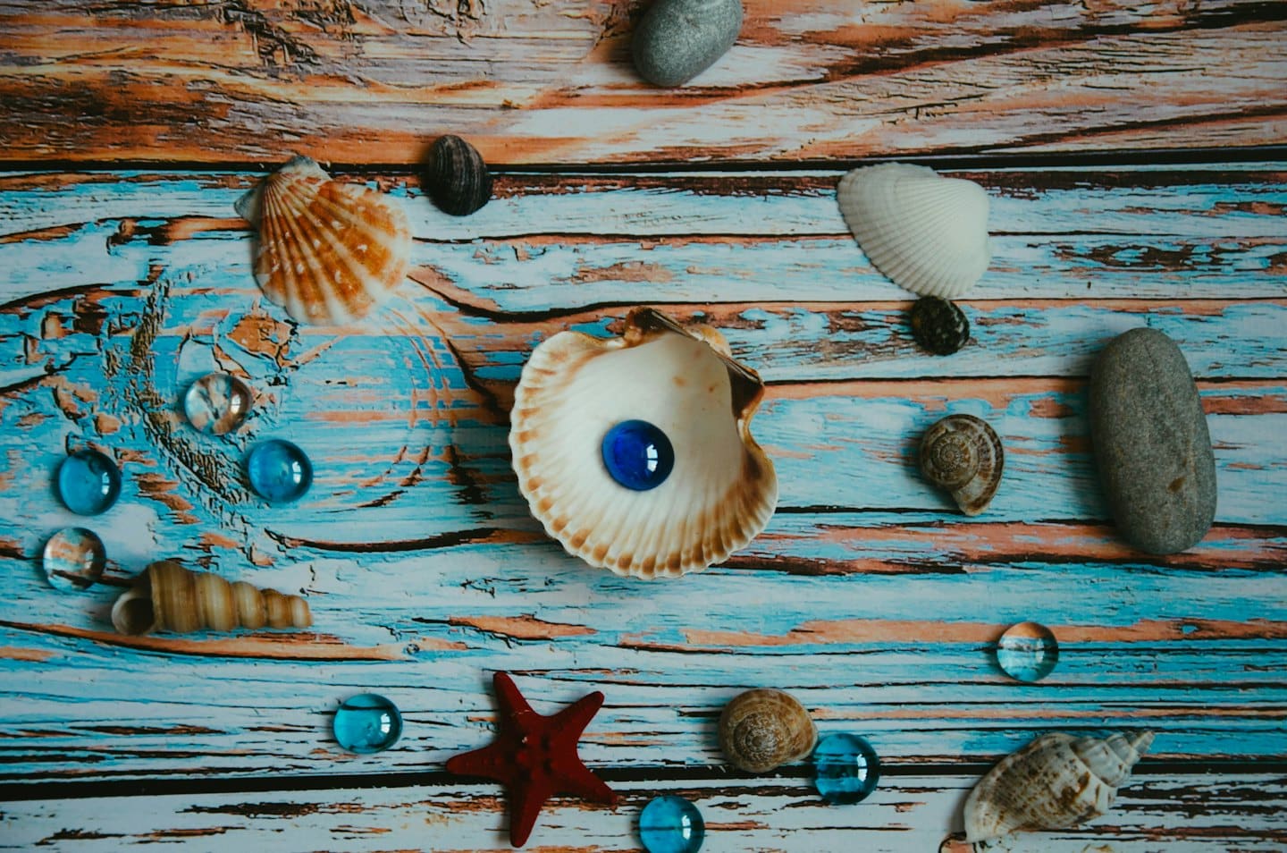 Seashells, pebbles, and a starfish arranged on weathered wood.