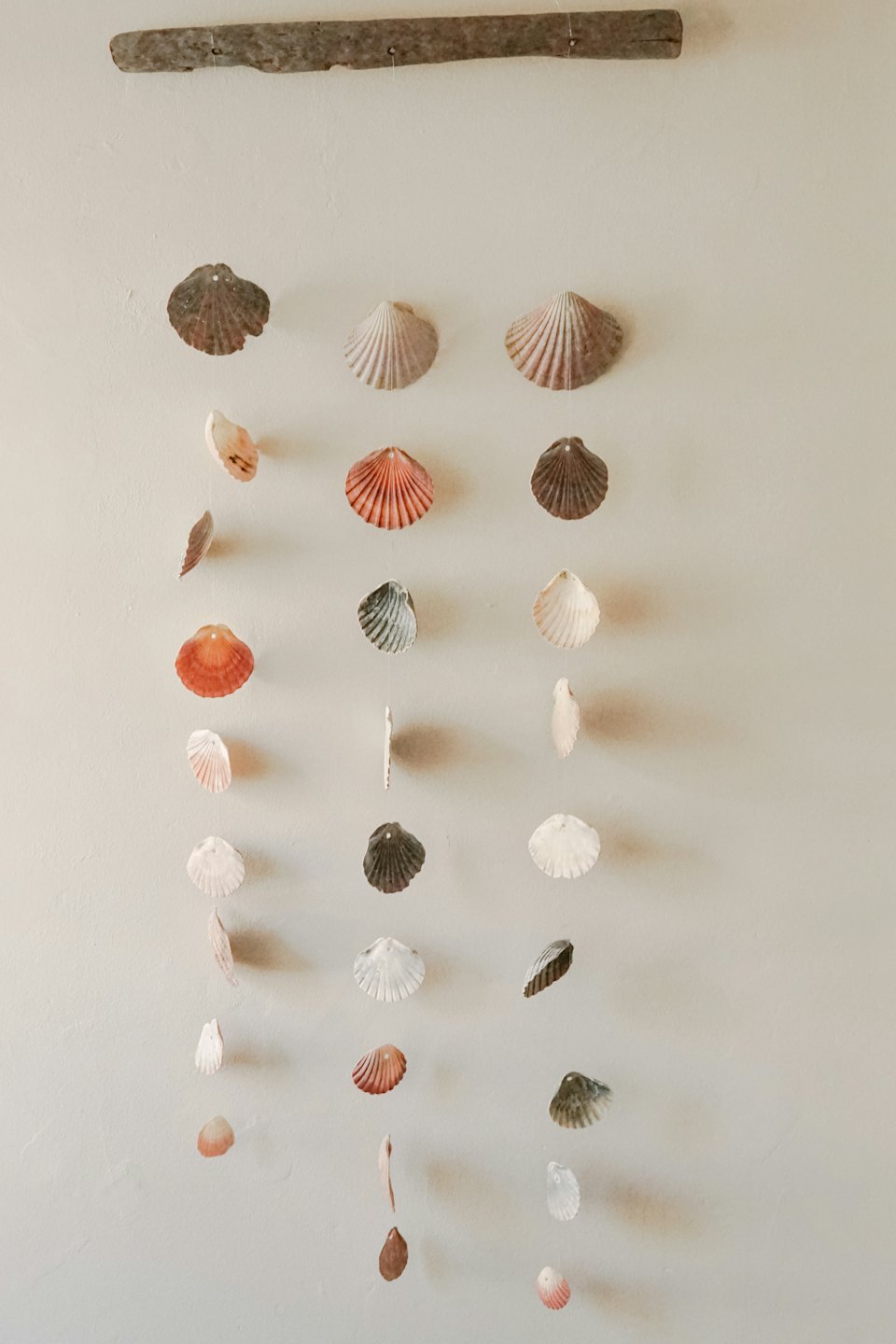 Wall hanging made of driftwood and natural seashells.