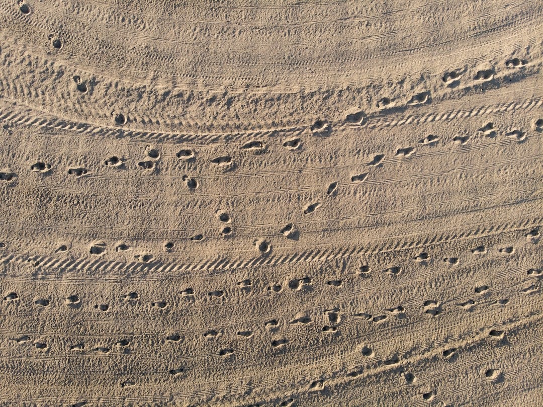 Footprints and vehicle tire tracks across textured tan sand.